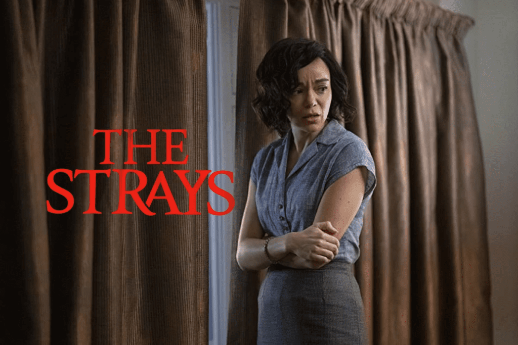 synopsis & link the strays