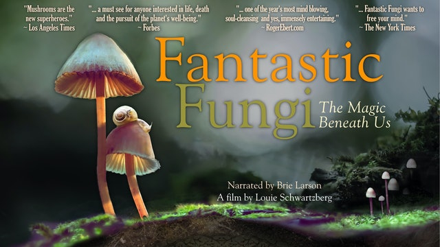 1. Fantastic Fungi