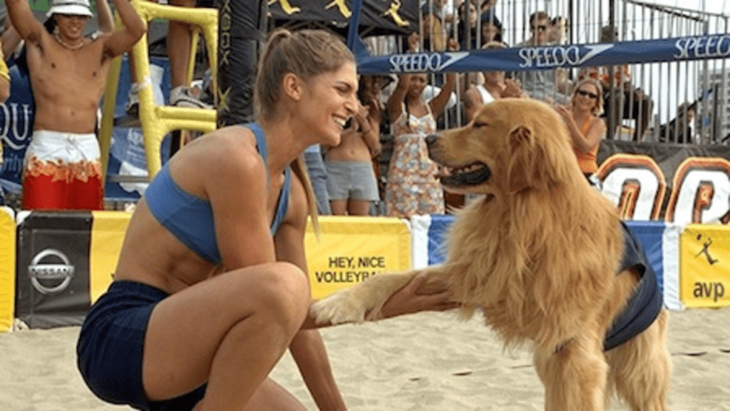 Air Bud: Spikes Back (2003), Volleyball Movies Recommendation